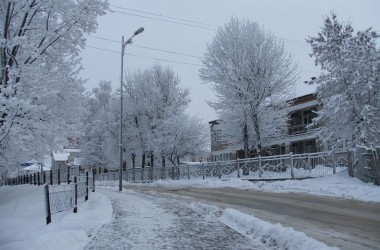 Оранжевый уровень опасности объявлен в Могилеве на 24 ноября