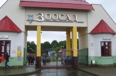 12 камерунских коз поселились в Могилевском зоосаде