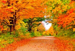 Минтруда напомнило о больших выходных в ноябре