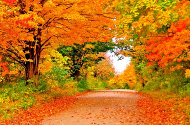 Минтруда напомнило о больших выходных в ноябре