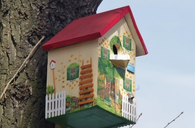 Конкурс на лучший домик для птиц объявлен в Могилеве