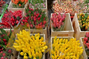 Продавать цветы могут физлица, заплатив налог 66 рублей в месяц