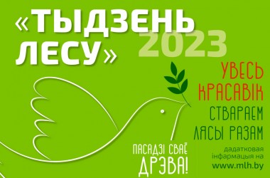 «Неделя леса» пройдет на Могилевщине с 17 по 23 апреля