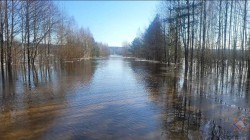Количество подтопленных автомобильных мостов и дорог увеличилось в Могилевской области