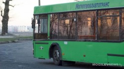 Дополнительный транспорт организуют в Печерский лесопарк 5 марта