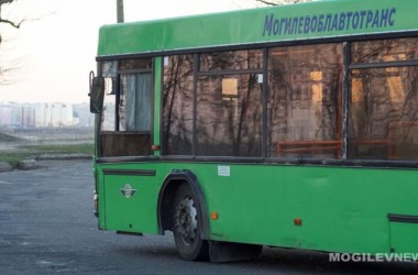 Дополнительный транспорт организуют в Печерский лесопарк 5 марта