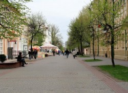 По улице Ленинской в Могилеве высадят фруктовые деревья
