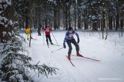При благоприятных погодных условиях в парке в Подниколье состоится праздник «Могилевская лыжня — 2021»