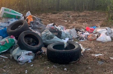 В текущем году на Могилевщине ликвидировано 624 несанкционированные свалки