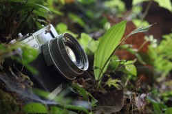 Выставка фотографий могилевчан состоится 1 февраля