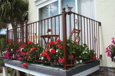 Конкурс на лучшее цветочное оформление «Могилев — цветущий город!» объявили в областном центре