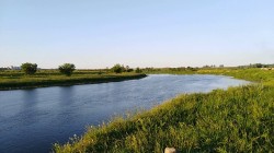 В двух водоемах Могилевского района показатели кишечной палочки превысили норму в 5-6 раз