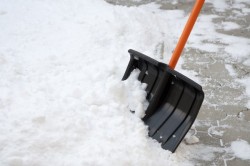 Горисполком просит могилевчан помочь в расчистке снега