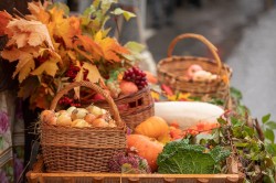 Осенние сельскохозяйственные ярмарки начинаются в Могилеве уже в эти выходные