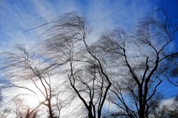 Оранжевый уровень опасности объявлен на 23 апреля из-за сильного ветра