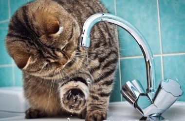 Второй этап сезонного отключения горячей воды в Могилеве начнется 3 июня