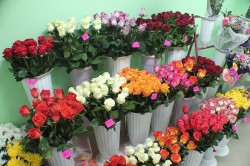 Могилевчане могут продавать цветы без регистрации в качестве ИП