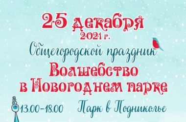 Общегородской праздник пройдет в Подниколье 25 декабря