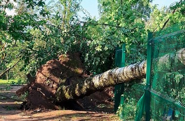 Последствия ночного урагана в Могилеве