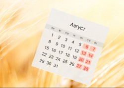 Какие изменения запланированы в августе в Беларуси?