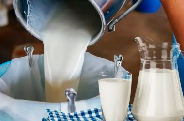 В Беларуси ИП разрешили посредничать в закупке сырого молока у населения