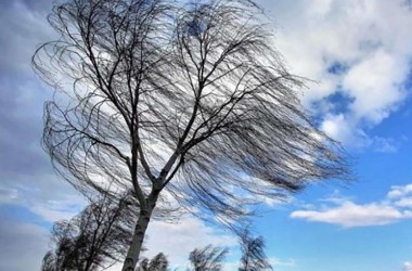 Оранжевый уровень опасности объявлен в Могилеве на 29 марта