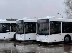 Новыми автобусами и электробусами пополнится автопарк Могилева
