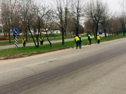 В городcком субботнике были выполнены работы на более чем 300 объектах