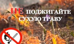В Беларуси законодательно запрещено выжигать сухую растительность и проводить палы