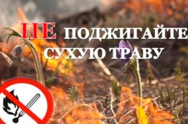 В Беларуси законодательно запрещено выжигать сухую растительность и проводить палы