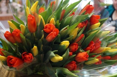 15 тысяч цветов подготовлено в Могилеве к 8 Марта