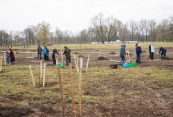 В Подниколье 16 апреля высадили около 400 деревьев