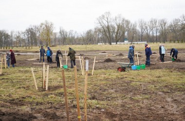 В Подниколье 16 апреля высадили около 400 деревьев