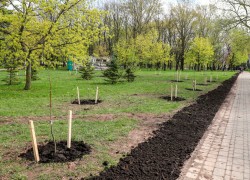 3150 деревьев и более миллиона цветов высадят в этом году в Могилеве