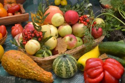 Сельхозярмарки 8-9 октября в Могилеве будут работать на трех площадках
