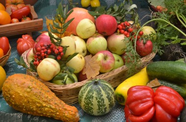 Сельхозярмарки 8-9 октября в Могилеве будут работать на трех площадках