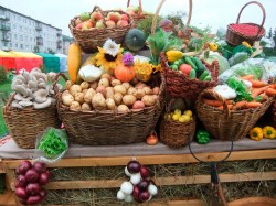 Сельхозярмарки будут работать в Могилеве 4 - 7 ноября