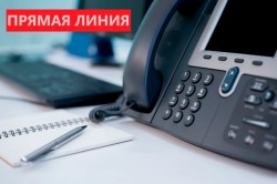 Прямая телефонная линия по вопросам субсидий для предпринимателей пройдет 8 мая