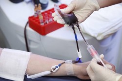 Первые доноры в Могилеве сдали плазму крови  к COVID-19