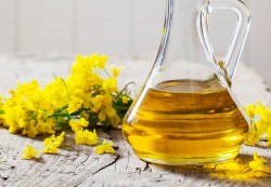 Рапсовое масло включат в обязательный ассортимент продуктовых магазинов