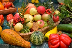 Сельхозярмарки будут работать в Могилеве 14 - 15 октября