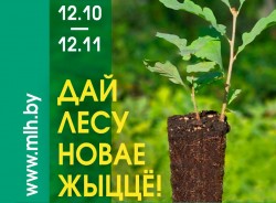 Минлесхоз приглашает добровольцев принять участие в кампании восстановления леса