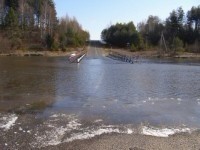 Паводковые воды подтопили низины в Чаусах и Славгороде