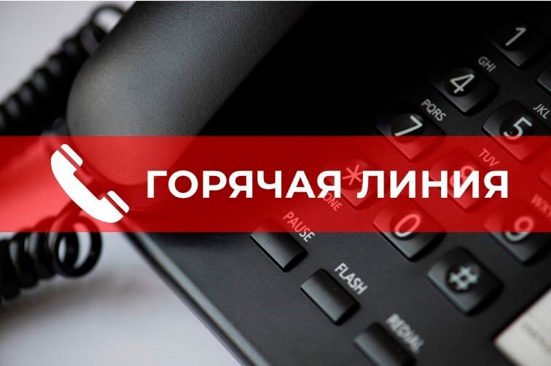 могилев биз